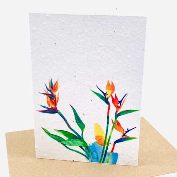 Growing Paper greeting card